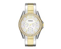 FOSSIL ES3204